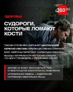 Иллюстрация 2