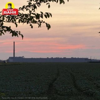 «Дядя Ваня» показал, как выращивает огурцы — кадры сняли на полях в Волгоградской области