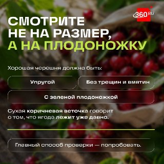 Как не ошибиться при покупке черешни: советы эксперта