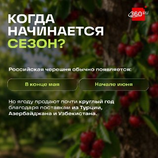 Иллюстрация 4