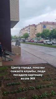 В Подмосковье жители превратили городские клумбы в огороды