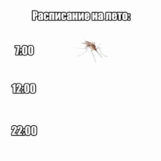 В центре Петербурга начался сезон покоса травы