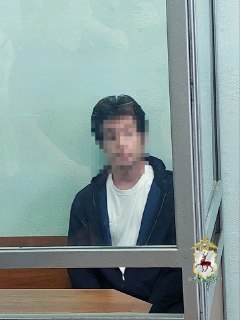 Сыну миллионера в Нижнем Новгороде назначили запрет определенных действий за ДТП