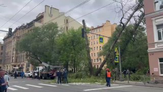 Иллюстрация 1