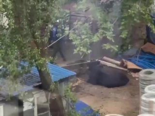Иллюстрация 2