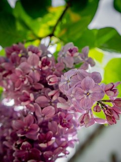 Иллюстрация 9