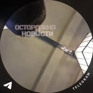 Иллюстрация 1