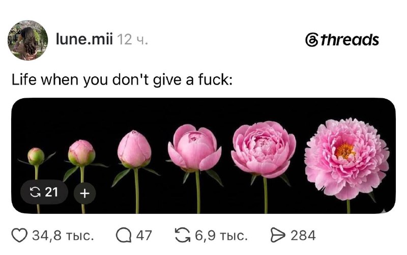 В Threads появился тренд с использованием изображений цветов для передачи эмоций