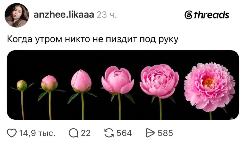 Иллюстрация 5