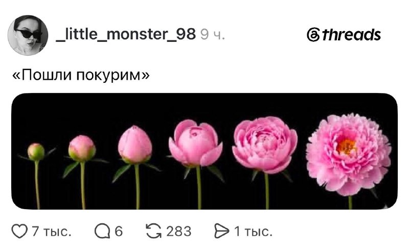 Иллюстрация 1