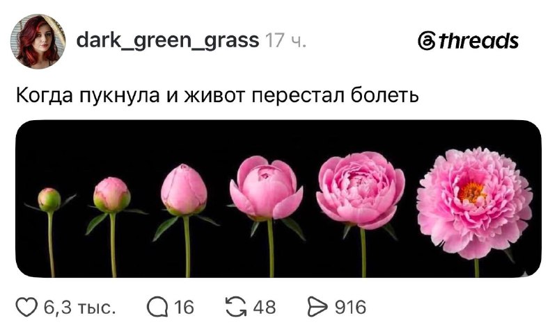 Иллюстрация 6