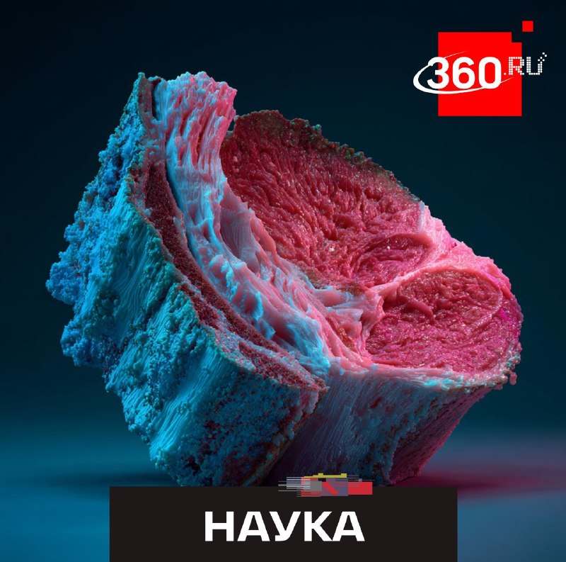В России разработали технологию 3D-печати мяса из морского коллагена