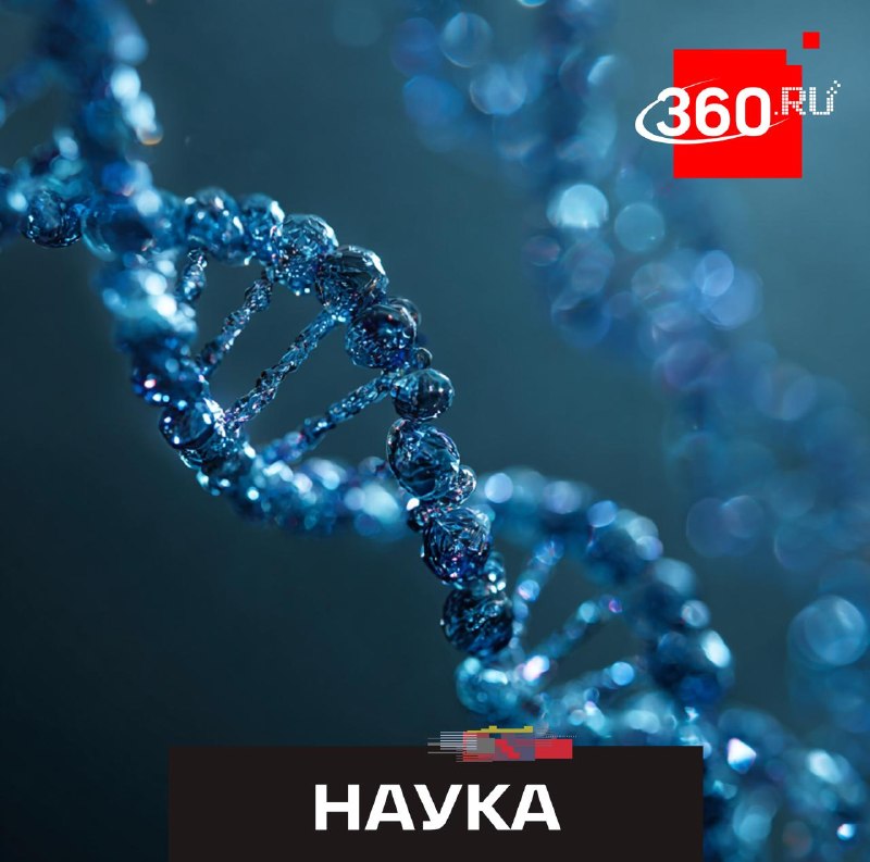 Эпигенетика: как химические метки на ДНК влияют на наследственность