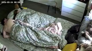 Коты будят своих хозяев утром