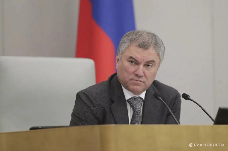 Володин предложил обучать детей методам противодействия мошенникам