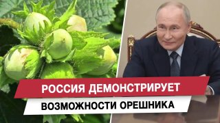 Анатолий Вассерман: демонстрация новых систем вооружений России — инструмент стратегического сдерживания
