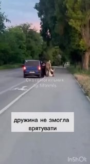 В Запорожской области доброволец примкнул к ТЦК