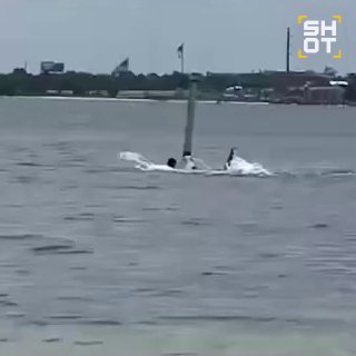 Акула напала на американского военного во Флориде