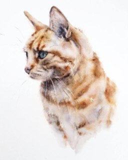 Иллюстрация 8