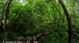 Сообщается о колоссальных потерях ВСУ в живой силе и технике