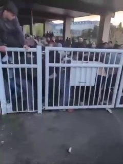 В Белфасте протестующие ирландцы устроили погром в районе арабской общины