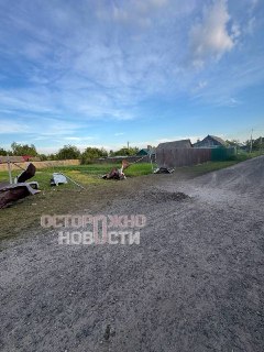 Иллюстрация 6