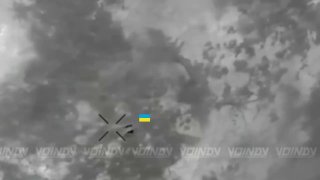 Подразделения 29-й армии группировки «Восток» расширили зону контроля на северном берегу р. Волчья
