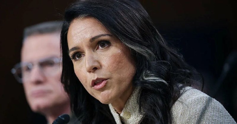 Тулси Габбард заявила о контроле США над биолабораториями на Украине