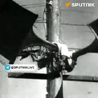 История создания Совинформбюро и его преемников