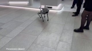 Киберкот ученый ходит по стенду ФССП на ПМЮФ