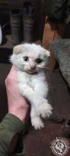 Призыв к фронтовикам присылать фото и видео своего быта