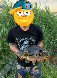 Иллюстрация 6