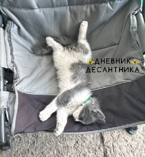 Иллюстрация 4