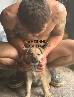 Иллюстрация 5