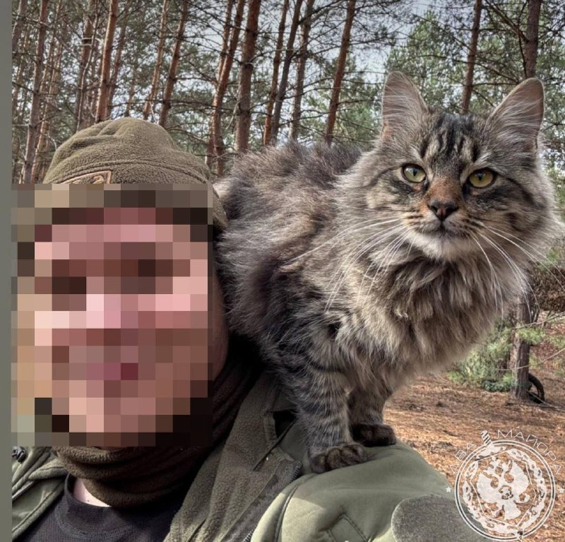 Иллюстрация 6