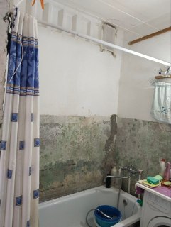 Иллюстрация 1