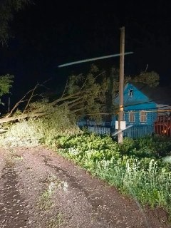 В Татарстане из-за непогоды погиб человек