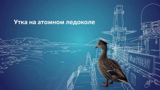 Утиная инспекция на атомном ледоколе «50 лет Победы»