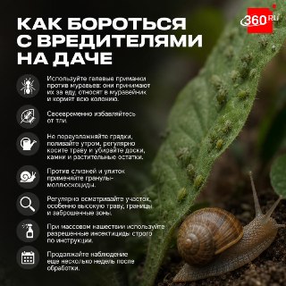 Как защитить огород от вредителей: советы по профилактике и борьбе