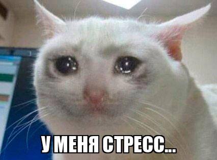 Стресс и психологические расстройства могут вызывать экзему, — учёные