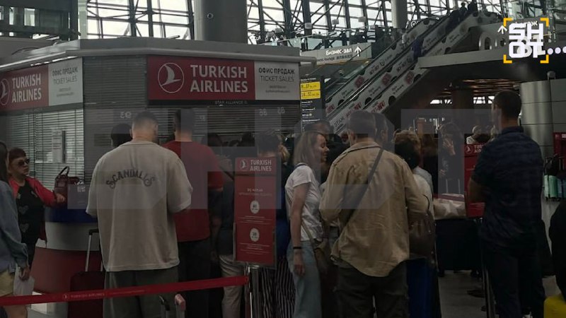 Массовые задержки рейсов Turkish Airlines между Москвой и Турцией затронули более тысячи пассажиров