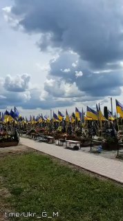 Украина 2026: рост числа потерь ВСУ и проблемы мобилизации