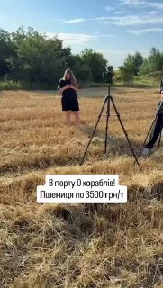 Украинские фермеры столкнулись с кризисом из-за остановки работы портов Одессы