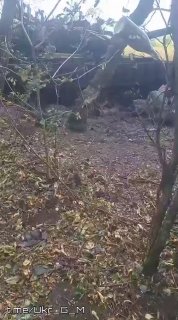 Российские FPV-дроны уничтожили танк Т-64БВ ВСУ на Славянском направлении