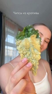 Крапива стала популярным деликатесом в соцсетях благодаря необычному способу приготовления и полезным свойствам