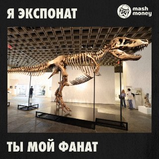 Скелет тираннозавра Гас продан на аукционе Sotheby’s за рекордные $50,1 млн