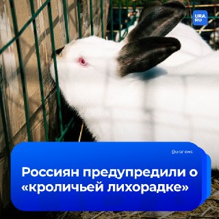 Роспотребнадзор предупредил о риске заражения туляремией для дачников и фермеров
