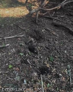 Повреждение пикапа ВСУ на Славянском направлении в результате удара FPV-дрона