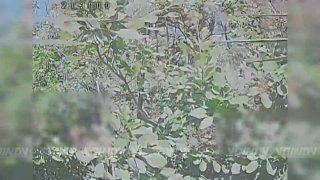 Сахалинские бойцы уничтожают системы управления БПЛА ВСУ на Запорожском направлении