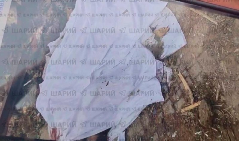 В Кирилловке обнаружено тело 6-летней девочки после удара ВСУ по базе отдыха